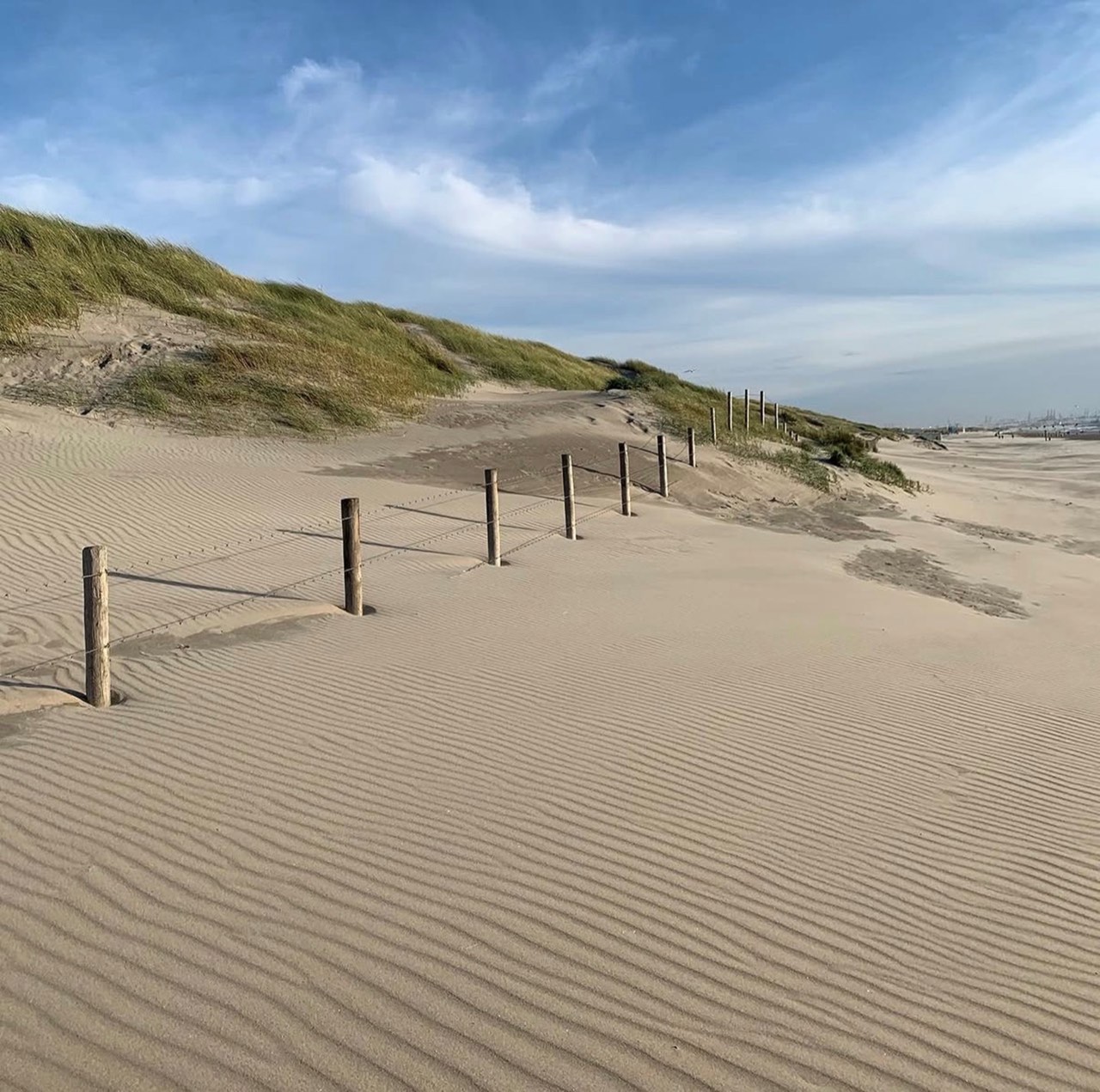 Duinen bij Arendsduin in het Westland met zandribbels en helmgras
